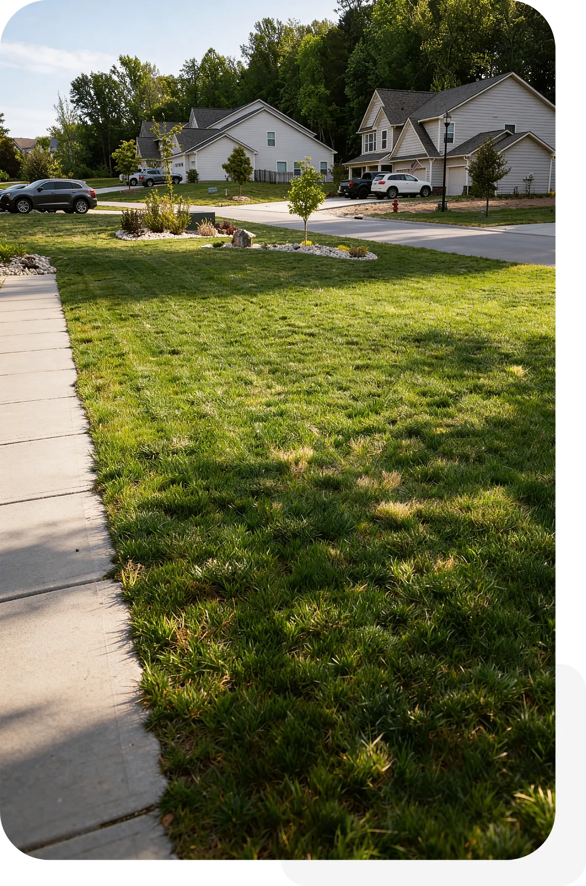 Blue 2 Green Landscape Services Charlotte Landscaping & Hardscaping img