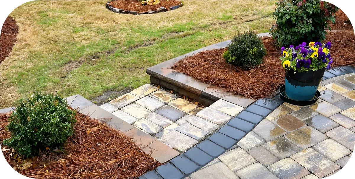 Elevate Your Outdoor Space with Blue 2 Green Landscape Services in the Indian Land, SC