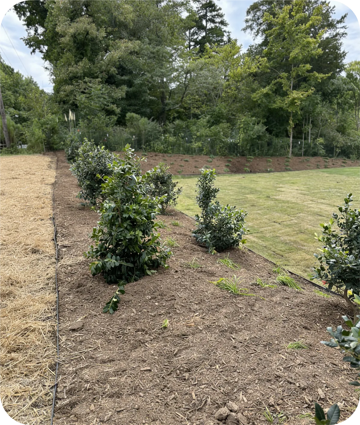 Transform Your Outdoor Space with Blue 2 Green Landscape Services in the Indian Land Area