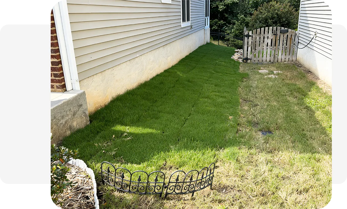 Blue 2 Green Landscaping & Hardscaping Services in Indian Trail