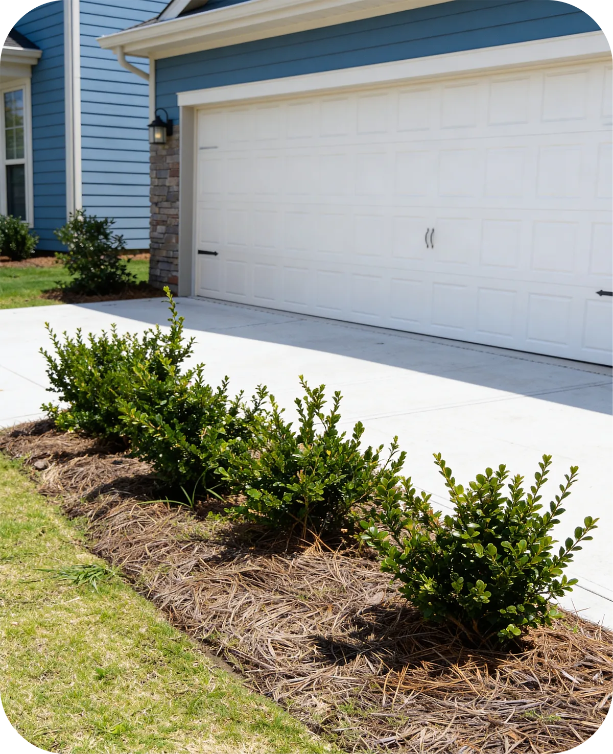 Blue 2 Green Landscape Services Lake Norman Landscaping & Hardscaping