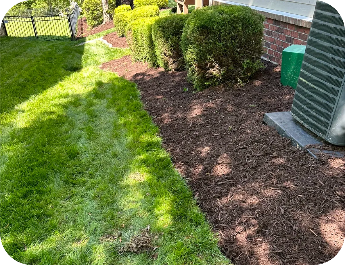 Elevate Your Outdoor Area with Blue 2 Green Landscape Services in Lake Wylie, SC