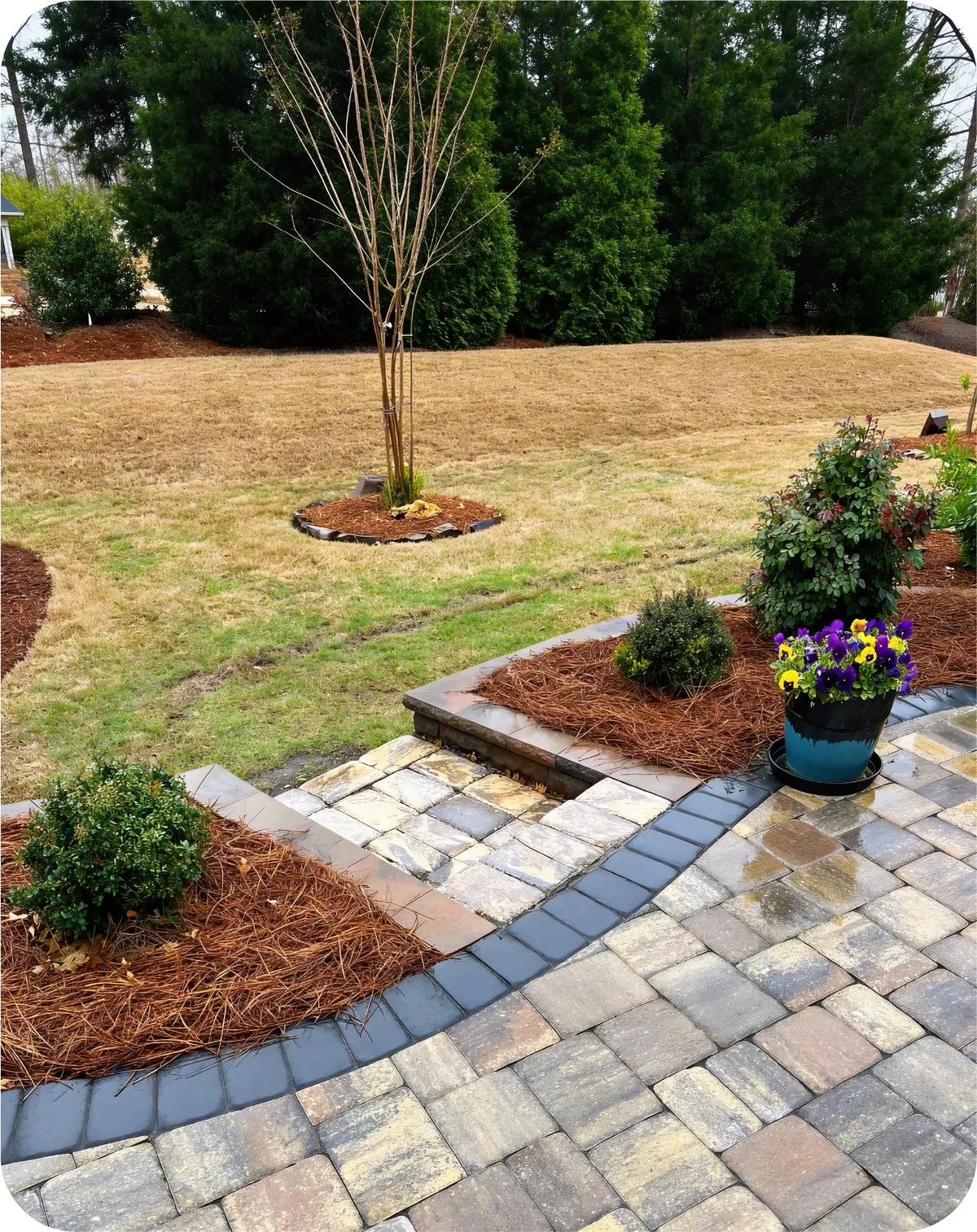 Why Choose Blue2Green Landscape in the Monroe Area, NC?