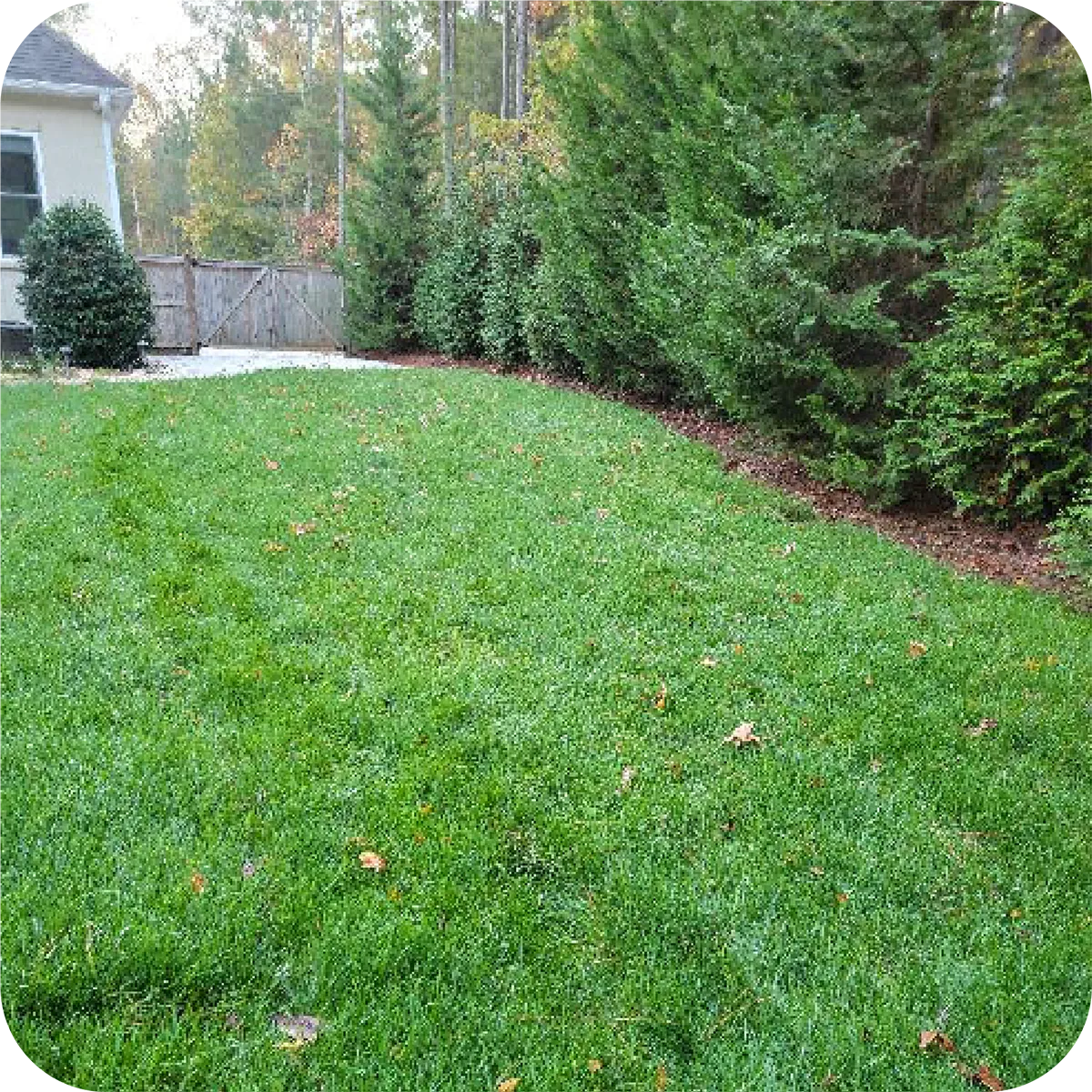 Transform Your Outdoor Space with Blue 2 Green Landscape Services in Rock Hill, SC